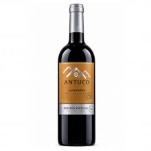 Vinho Cremaschi Reserva Especial Antuco Carmenere 750 ml